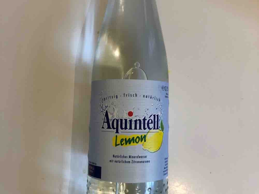 Aquintell, Lemon von floritzel | Hochgeladen von: floritzel