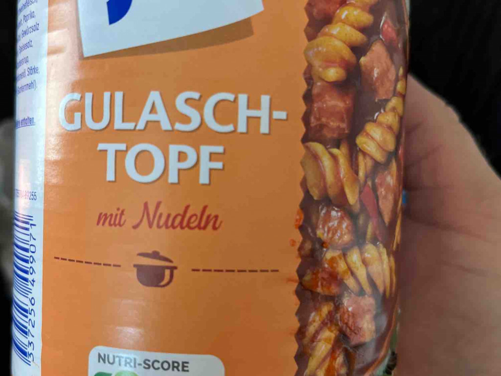 Gulasch Topf, mit Nudeln von pati1701 | Hochgeladen von: pati1701