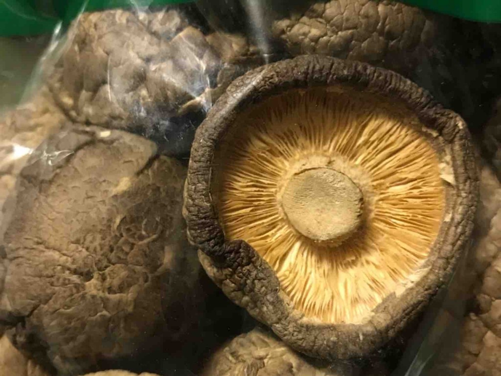 Shitake Pilze getrocknet von avo | Hochgeladen von: avo