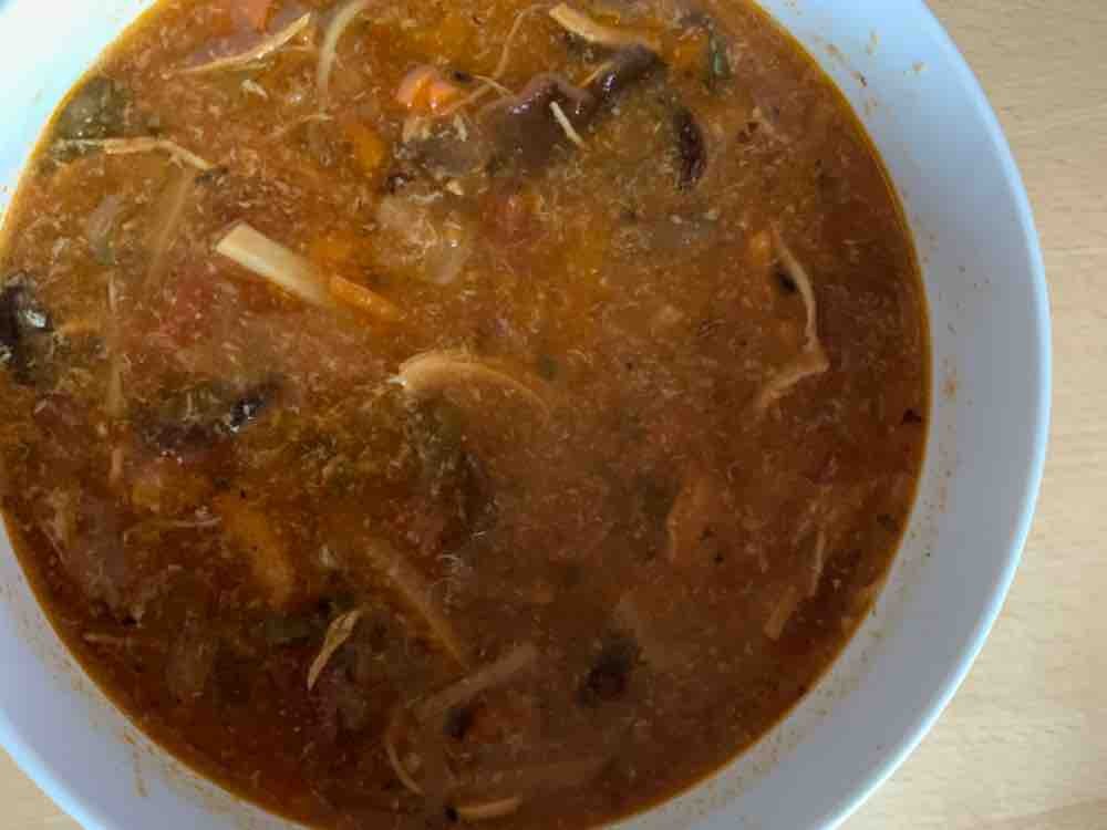 Peking Suppe, süß sauer scharf von Freiluftdriver | Hochgeladen von: Freiluftdriver