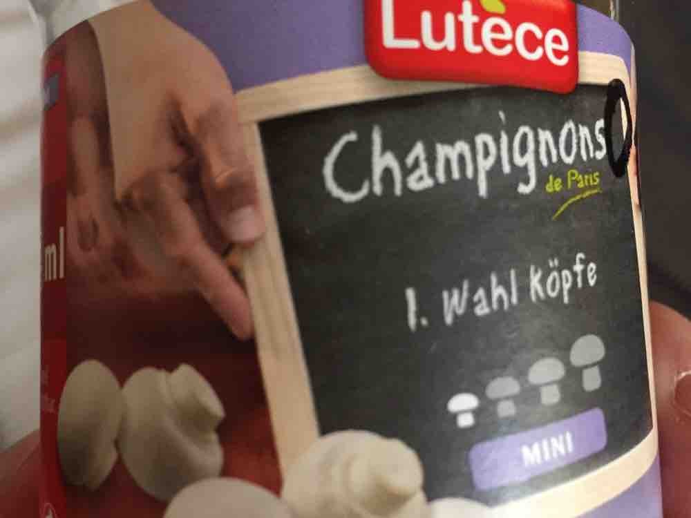 Lutece, Champignons 1 Wahl Köpfe von sandrahoernig558 | Hochgeladen von: sandrahoernig558