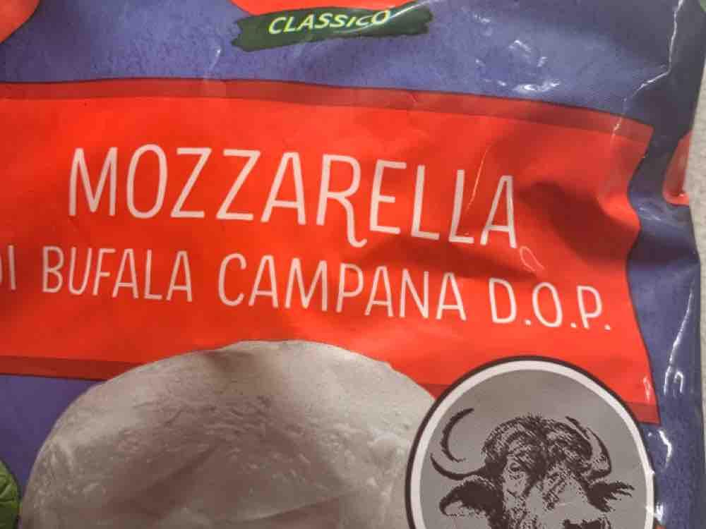 Mozzarella di Bufala, 200g von Elmar72 | Hochgeladen von: Elmar72