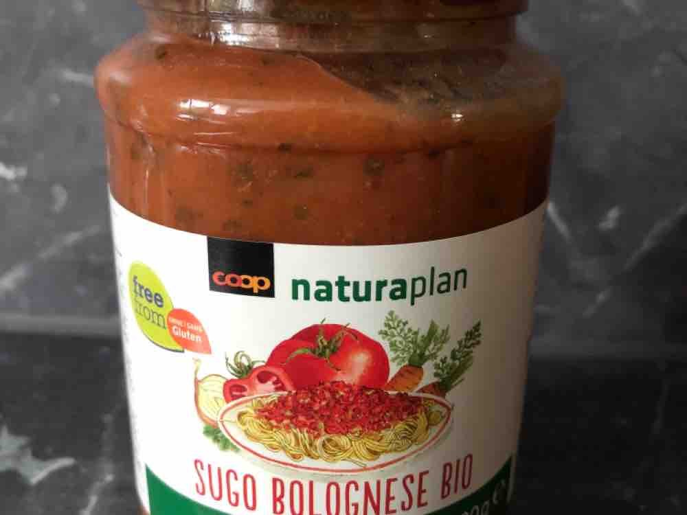 Sugo Bolognese Bio von zubern | Hochgeladen von: zubern