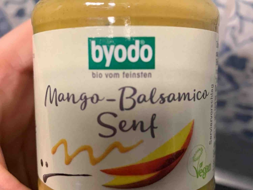 Mango-Balsamico Senf von missy22 | Hochgeladen von: missy22