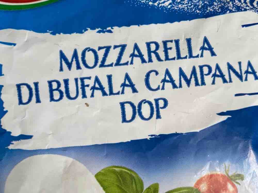 Mozarella Di Bufala Campana von Garance14 | Hochgeladen von: Garance14