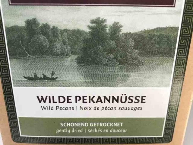 Wilde Pekannüsse von Ran1991 | Hochgeladen von: Ran1991