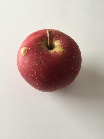 Apfel Kanzi | Hochgeladen von: LutzR