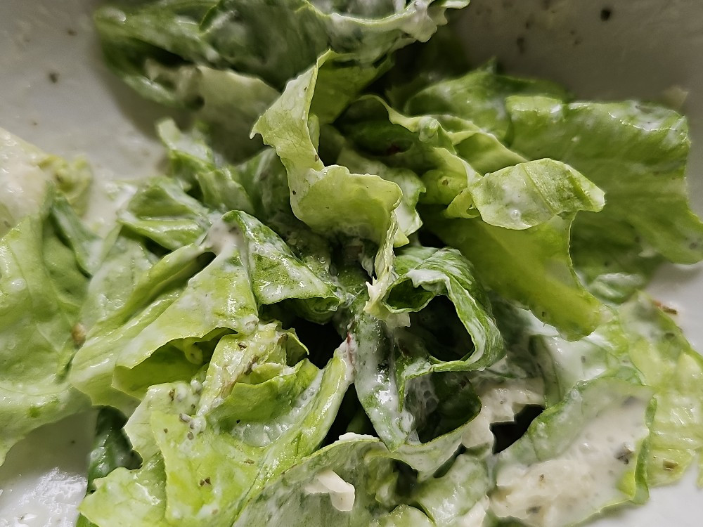 KOPFSALAT MIT KONDENSMILCH 30.06.24 von Dieter 4465 | Hochgeladen von: Dieter 4465 KOPFSALAT MIT KONDENSMILCH 30.06.24 von Dieter 4465 | Hochgeladen von: Dieter 4465