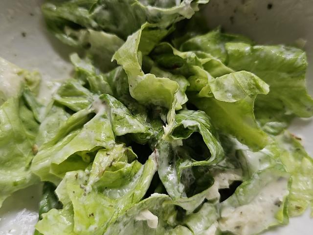 KOPFSALAT MIT KONDENSMILCH 30.06.24 von Dieter 4465 | Hochgeladen von: Dieter 4465 KOPFSALAT MIT KONDENSMILCH 30.06.24 von Dieter 4465 | Hochgeladen von: Dieter 4465
