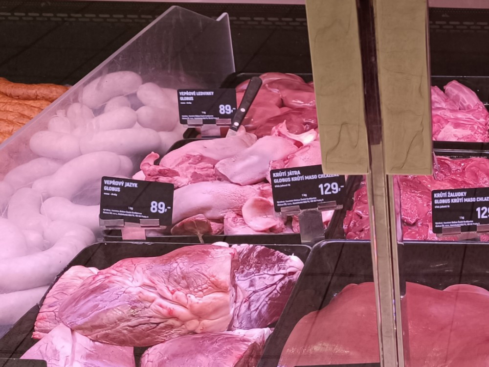 Hochgeladen von: Stella Steinbrenner