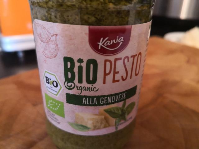 Bio Pesto Alla Genovese von dianauhrich386 | Hochgeladen von: dianauhrich386