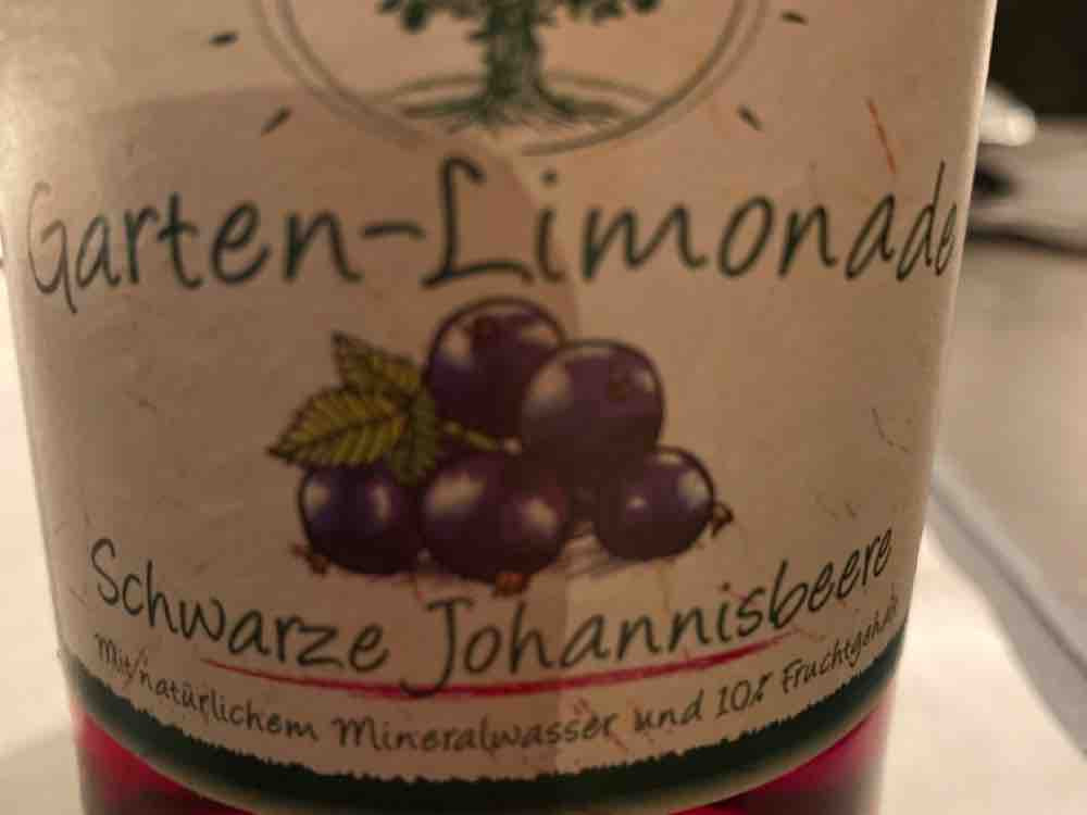 Garten-Limonade, Johannisbeere von juafelix | Hochgeladen von: juafelix