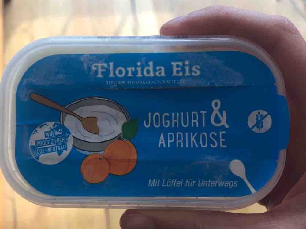 Florida Eis, Joghurt & Aprikose von paulaner | Hochgeladen von: paulaner