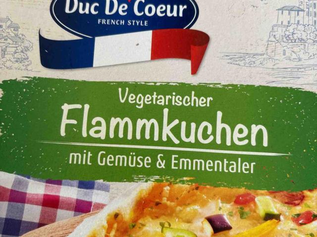 Vegetarischer Flammkuchen, mit Gemüse & Emmentaler von LoTue | Hochgeladen von: LoTuer