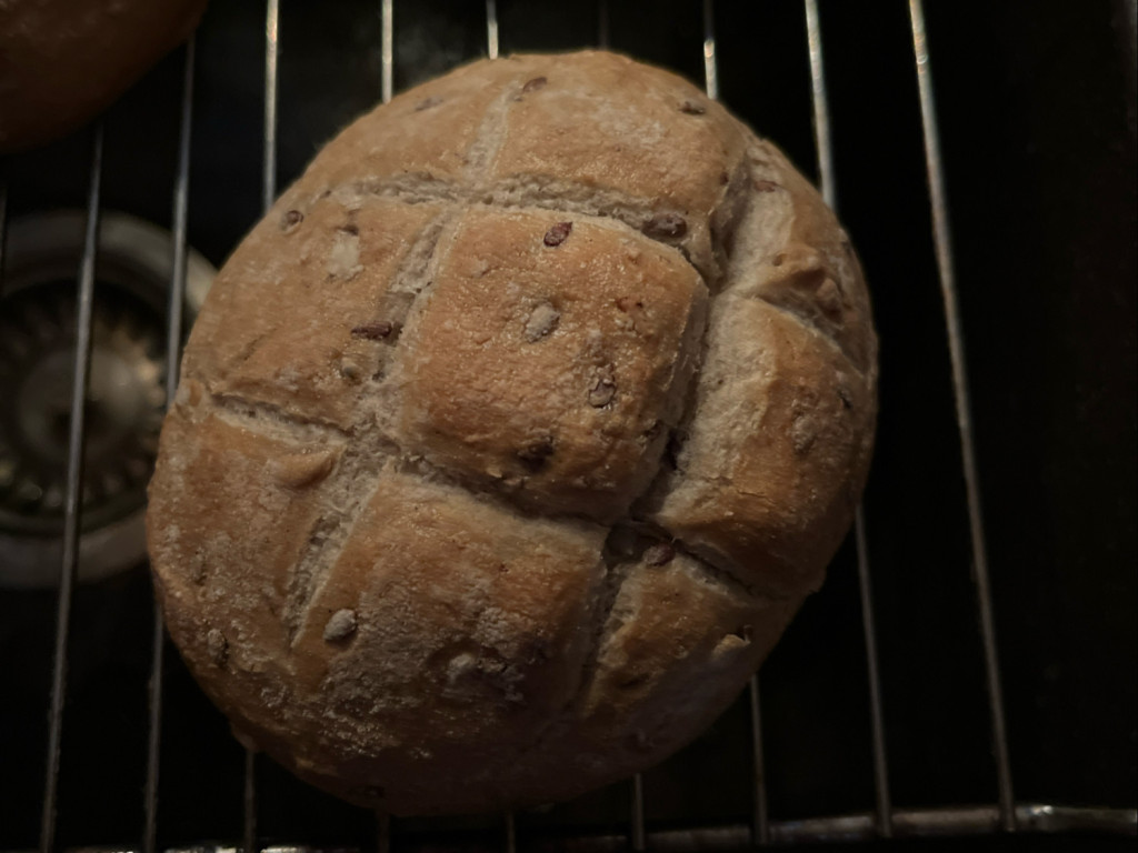 Dinkelbrötchen, Backfertig von maritadrehlich256 | Hochgeladen von: maritadrehlich256