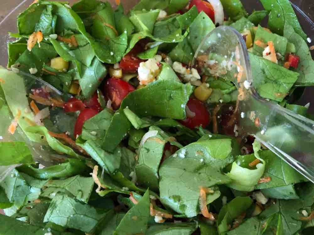 Gemischter Salat, mit Flücksalst, Zwiebel, Möhre,Mais von JaNi86 | Hochgeladen von: JaNi86