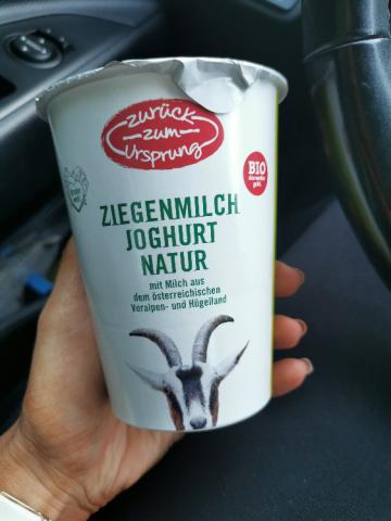 Ziegenmilch Joghurt Natur von VH92 | Hochgeladen von: VH92