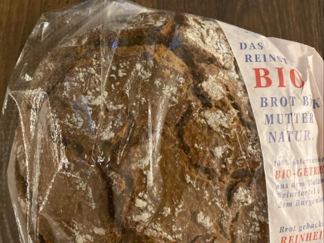 Bio Kärntner Brot von DomD | Hochgeladen von: DomD