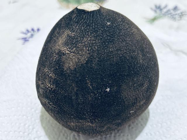 Hochgeladen von: gerald.kunz