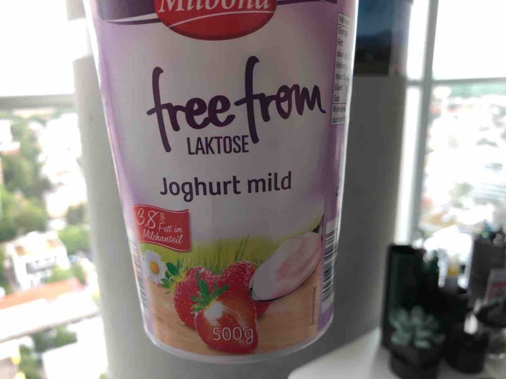 Joghurt mild, freefrom Laktose Erdbeere 3,8% Fett im Milchante v | Hochgeladen von: smiatek338