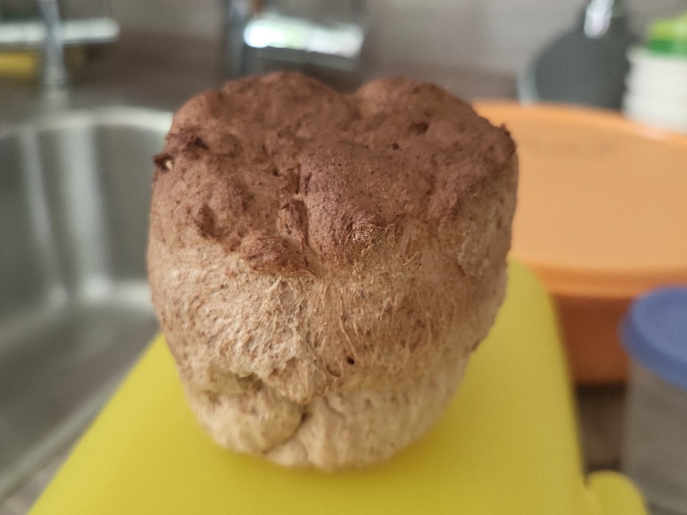 Pfälzer Landbrot von Silkebausw | Hochgeladen von: Silkebausw Pfälzer Landbrot von Silkebausw | Hochgeladen von: Silkebausw