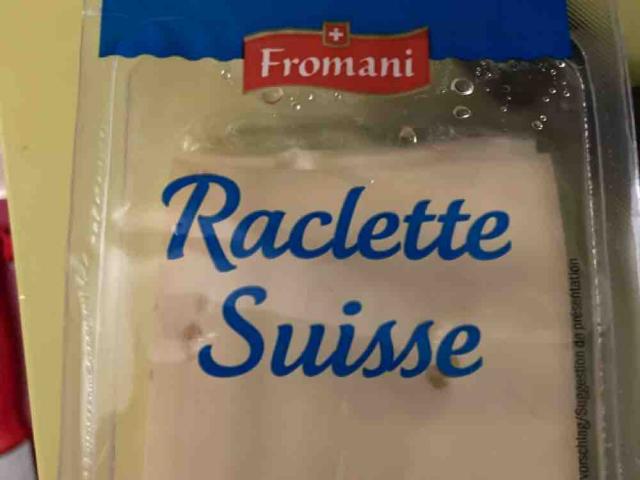 Raclettkäse von Scout | Hochgeladen von: Scout