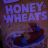 Honey Wheats von fitINSURANCEGUY | Hochgeladen von: fitINSURANCEGUY