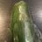 grüne   Papaya von LHeymann | Hochgeladen von: LHeymann