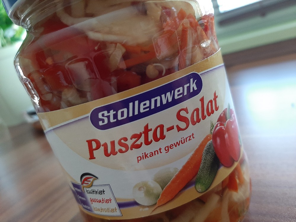 Puszta-Salat, pikant gewürzt von rl2412 | Hochgeladen von: rl2412