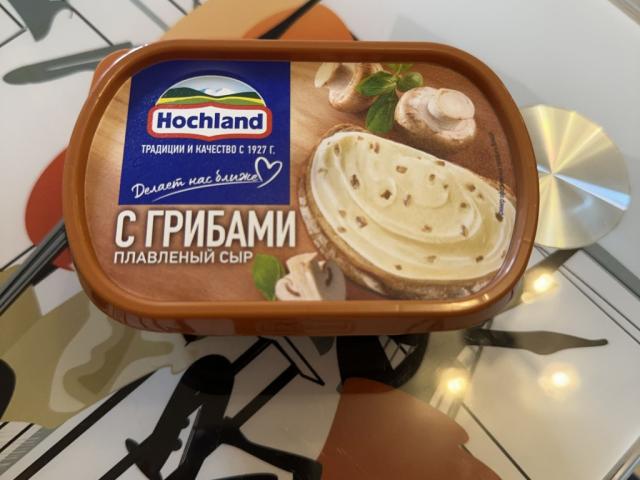 Schmelzkäse mit Pilzen von anjaaa | Hochgeladen von: anjaaa Schmelzkäse mit Pilzen von anjaaa | Hochgeladen von: anjaaa