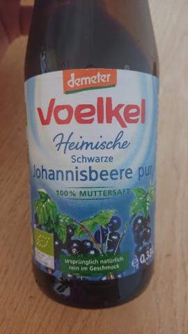 Muttersaft schwarze Johannesbeere von andreasstuebs633 | Hochgeladen von: andreasstuebs633