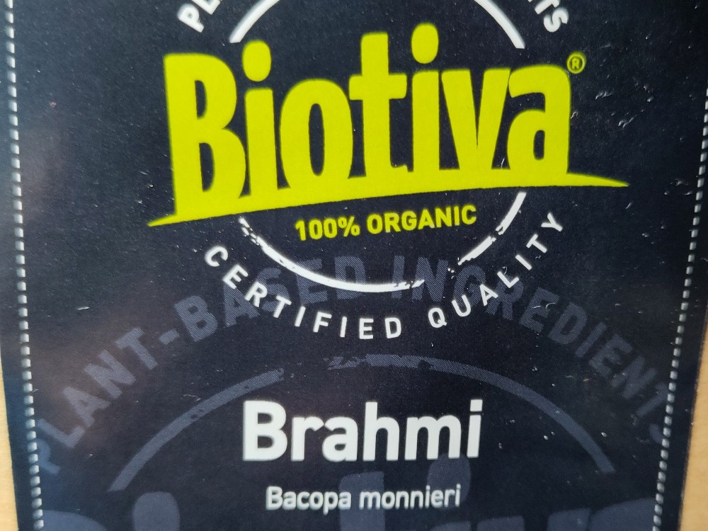 Brahmi, Bacopa Monnieri von Sativum | Hochgeladen von: Sativum