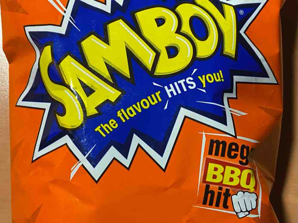 SAMBOY Barbecue von bluebellowl | Hochgeladen von: bluebellowl