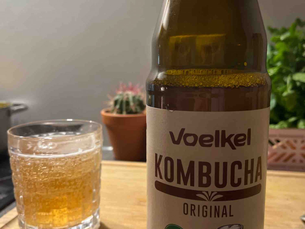 Kombucha von lealiebsam | Hochgeladen von: lealiebsam