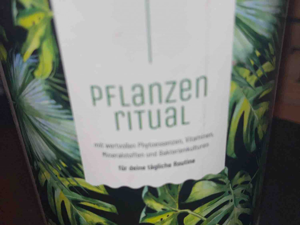 Pflanzen Ritual, Grünes Superfood Pulver von Antonietta | Hochgeladen von: Antonietta