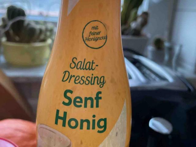 Senf Honig Dressing by Roseeileen | Uploaded by: Roseeileen