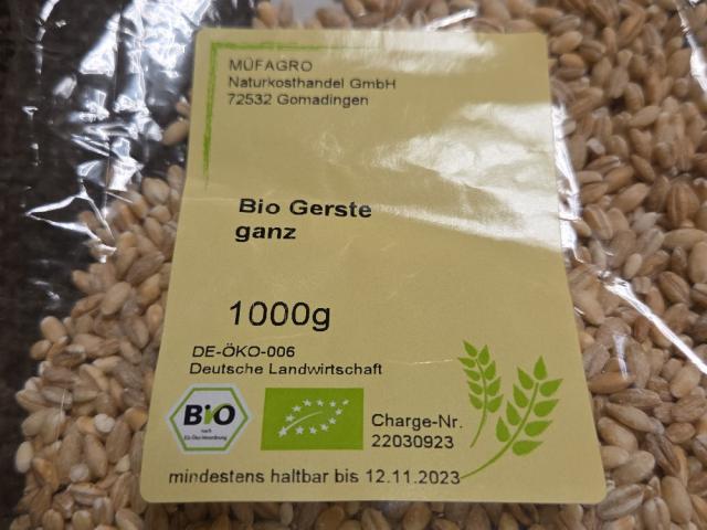 Hochgeladen von: wiwa81