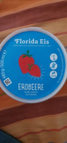 Florida-Eis, Erdbeere von ing892 | Hochgeladen von: ing892