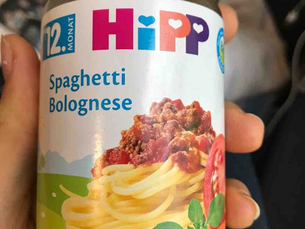 Spaghetti Bolognese 12 Monate von Zoffy | Hochgeladen von: Zoffy