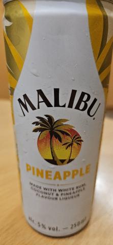 Malibu Pineapple von stefanieha | Hochgeladen von: stefanieha