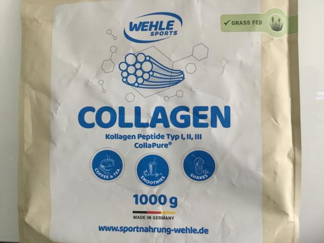 Collagen, Typ 1,2,3 | Hochgeladen von: assihasi