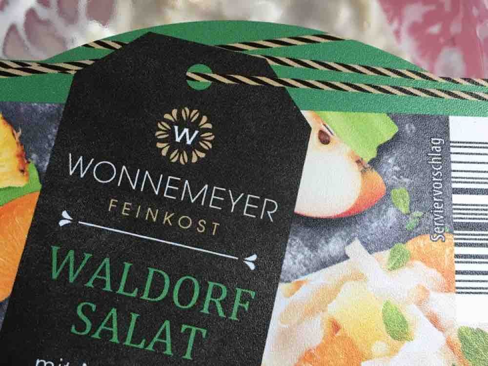 Waldorf Salat,  mit Mandarienen und Haselnüss von sylkebueldmoel | Hochgeladen von: sylkebueldmoell677