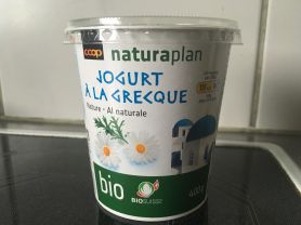 Griechischer Joghurt, Nature | Hochgeladen von: calvin01