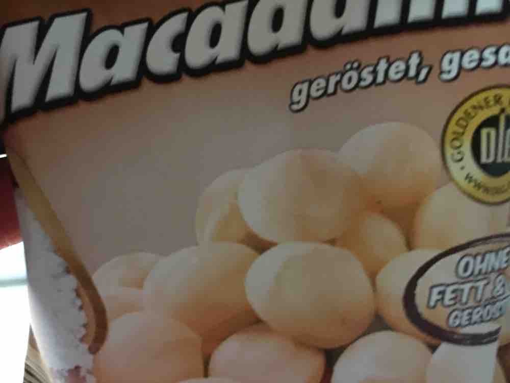 Macadamia, geröstet, gesalzen von SvenFriedrich | Hochgeladen von: SvenFriedrich
