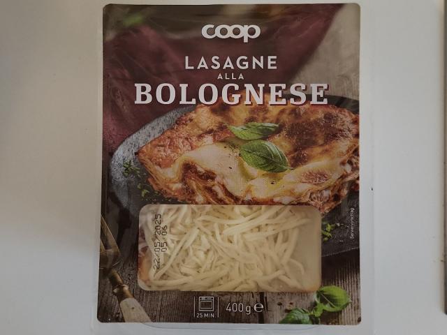 Lasagne Bolognese by Huffliger | Uploaded by: Huffliger Lasagne Bolognese by Huffliger | Uploaded by: Huffliger