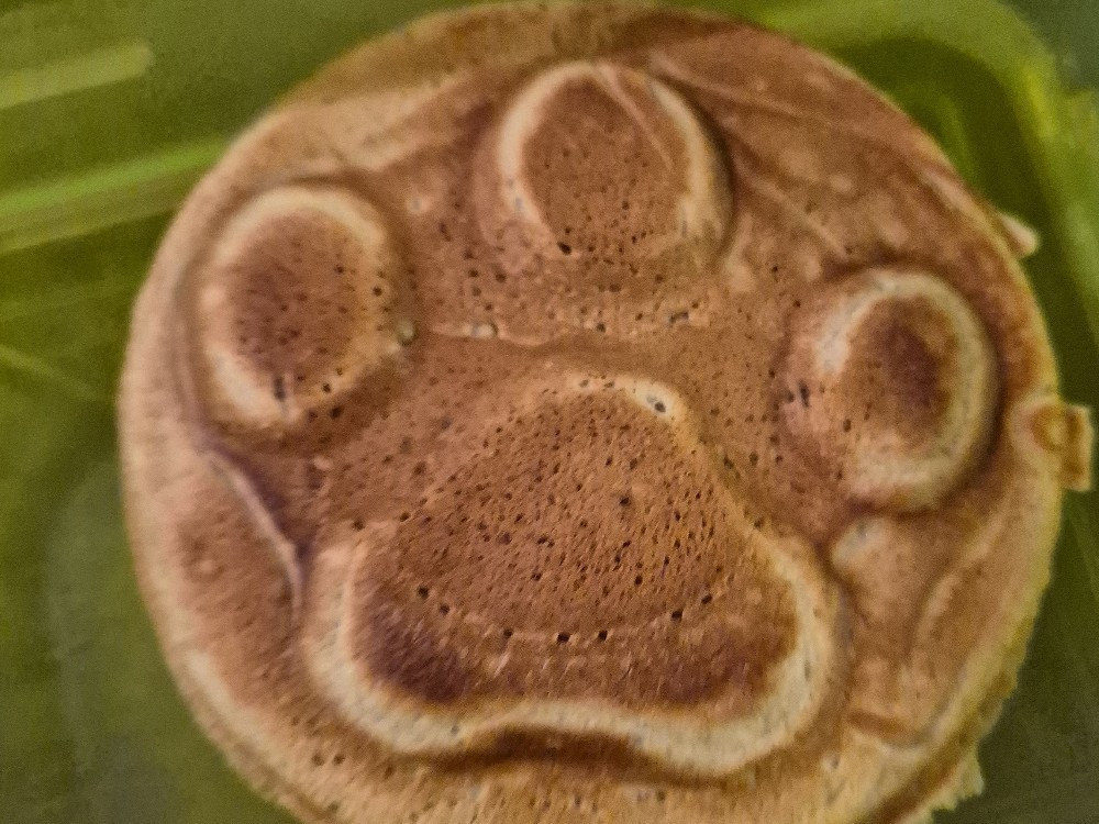 Hochgeladen von: IHaze96