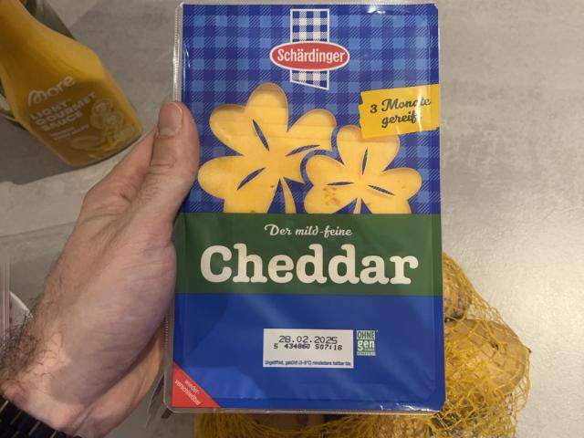 Cheddar von Vali1899 | Hochgeladen von: Vali1899