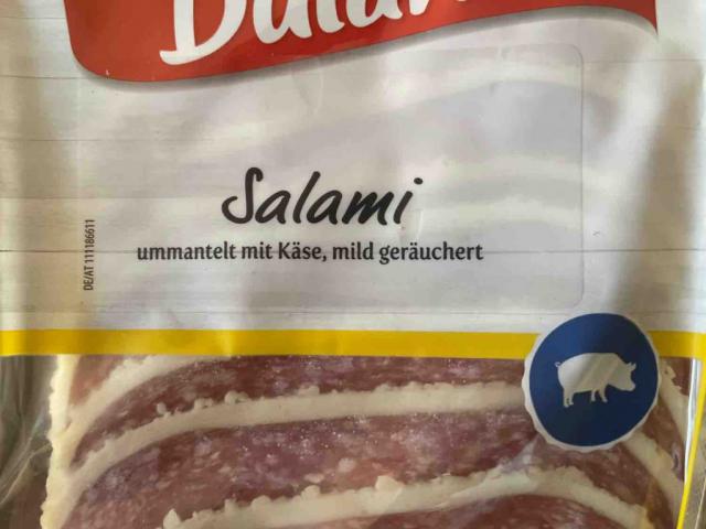 Salami ummantelt mit Käse, Schweinefleisch von Schmelle26 | Hochgeladen von: Schmelle26