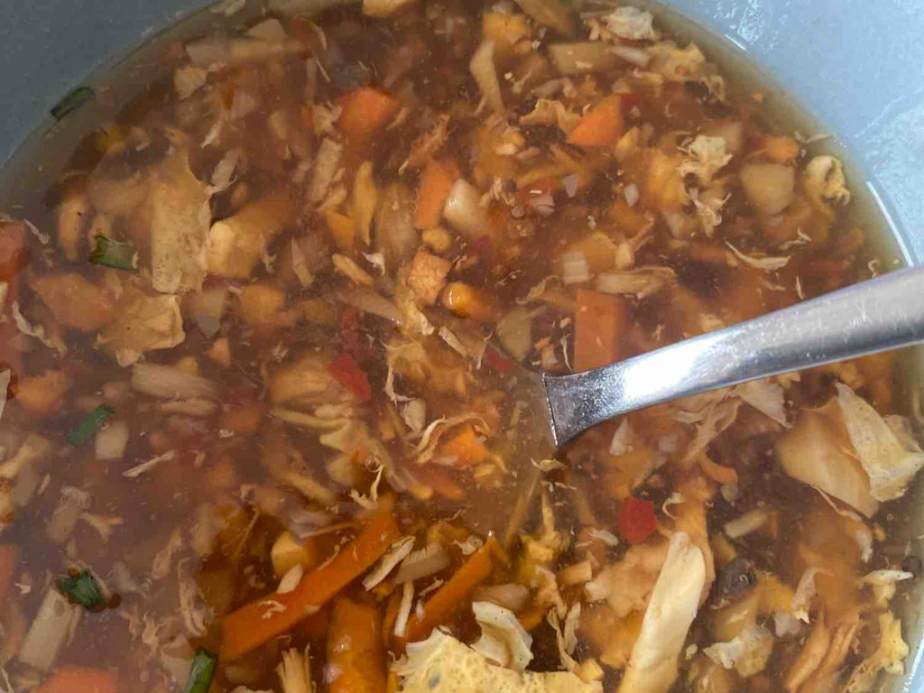 Pikante Suppe mit Huhn, Spicy Thai Soup von ranjitbawa | Hochgeladen von: ranjitbawa