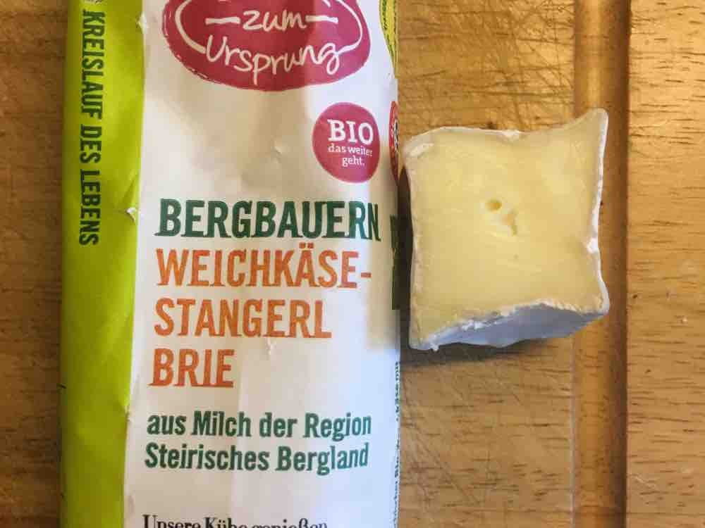 Bergbauern Weichkäse Stangerl Brie von Tofukipferl | Hochgeladen von: Tofukipferl